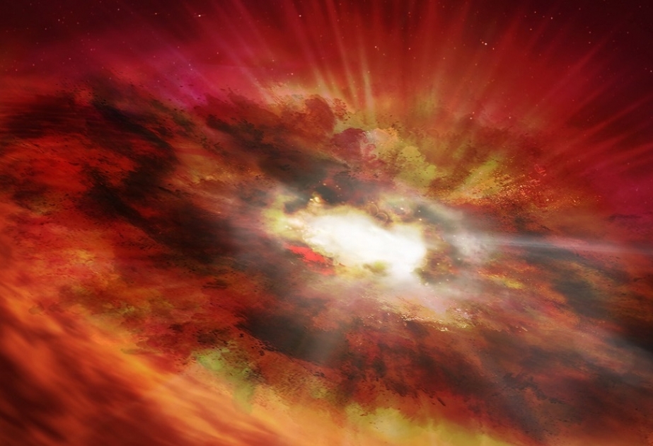Ultra-rare black hole ancestor detected at the dawn of the universe