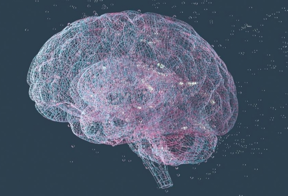 'Secret code' behind key type of memory revealed in new brain scans