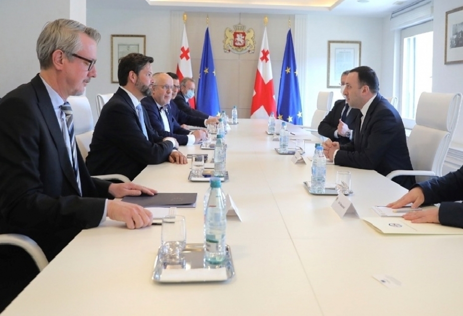 格鲁吉亚和欧洲议会代表讨论地区局势和大型项目的实施情况