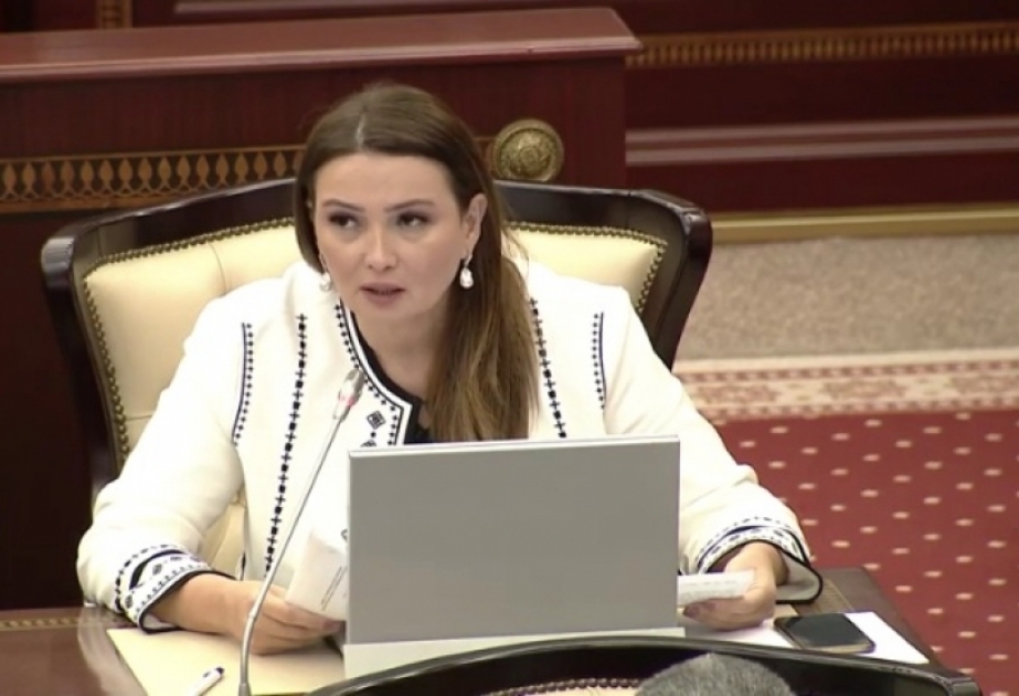 Deputat: Prezident İlham Əliyevin müşavirədə səsləndirdiyi fikirlər hazırda dünyadakı qlobal proseslər fonunda xüsusi önəm kəsb edir