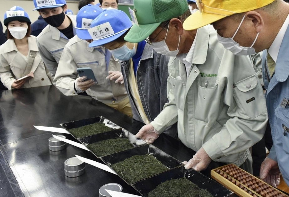 New Japanese tea leaves auction for record 1.96 mil. Yen