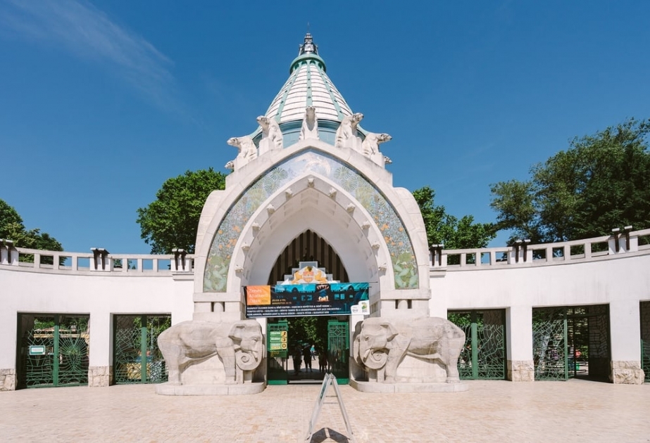 Будапештский зоопарк попал в рейтинговый список престижного агентства