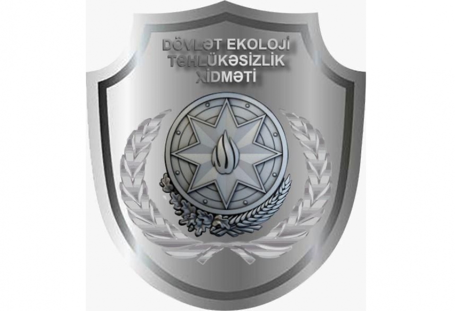 Qanunsuz balıq ovlayan şəxslər cəzalandırılıblar