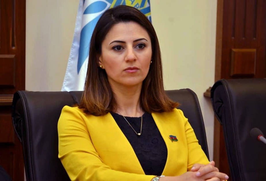 Deputat: Azərbaycan və Qırğızıstan bütün beynəlxalq təşkilatlarda həmişə bir-birini dəstəkləyir