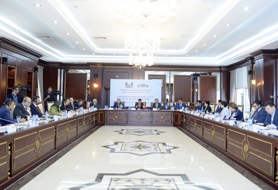 突厥语国家议会大会社会、文化和人道主义问题委员会第 9 届会议在我国国民议会举行