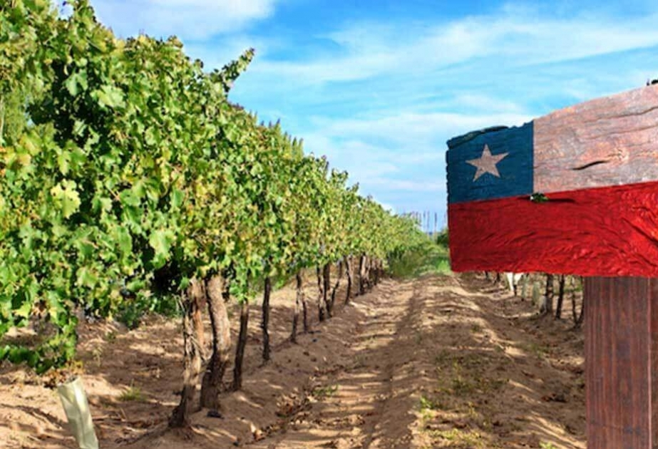 Alimentos y gastronomía del fin del mundo, Chile
