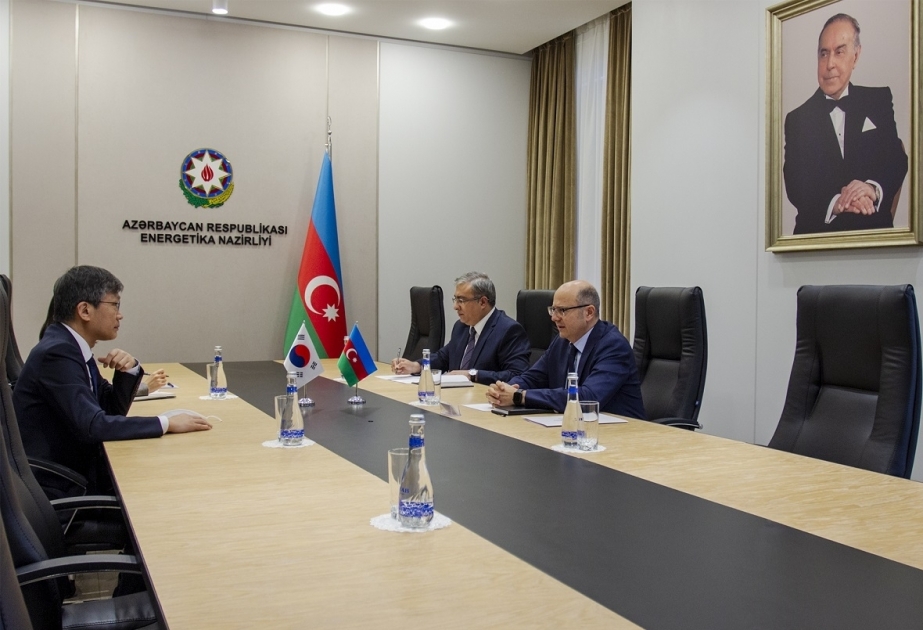 Azerbaijan, South Korea discuss cooperation in field of energy