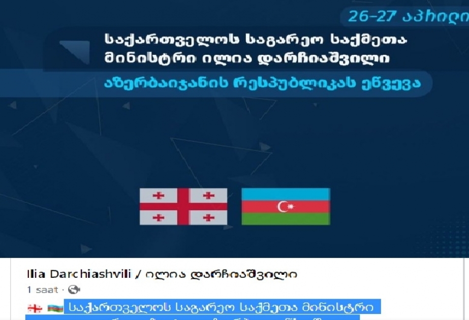 Министр иностранных дел Грузии посетит Азербайджан с официальным визитом