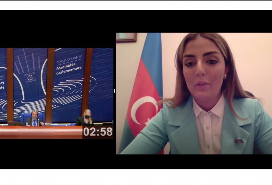 AŞPA-nın yaz sessiyasında uşaqların ailələrə verilməsi və alternativ qayğı ilə bağlı Azərbaycan təcrübəsindən danışılıb