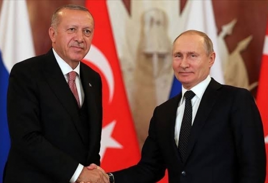 土耳其与俄罗斯两国总统通电话