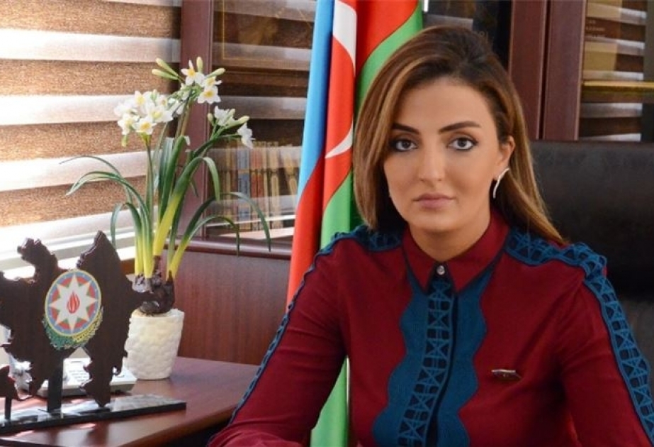 Deputat: Beynəlxalq təşkilatlar regionda davamlı sülhün və etimadın yaradılması üçün platforma rolunu oynamalıdırlar