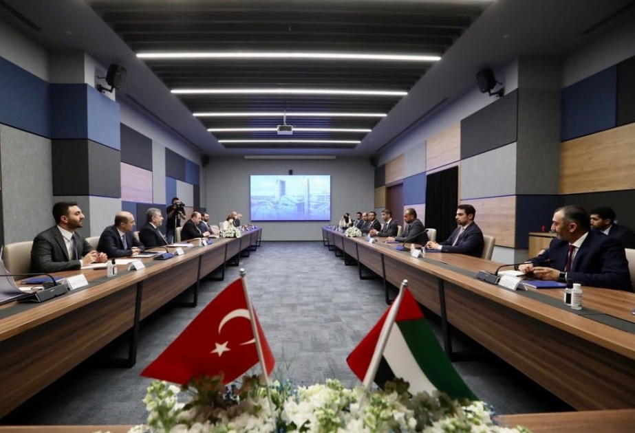 UAE and Turkiye aim to double bilateral trade