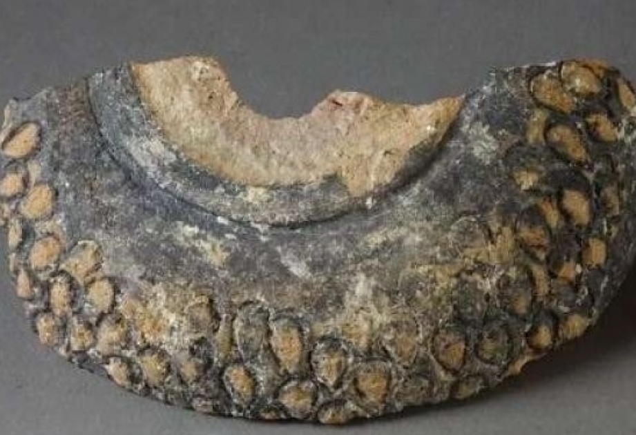 Archaeologists find fragment of medieval hand grenade