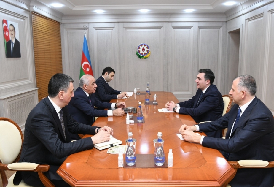 Премьер-министр Али Асадов встретился с министром иностранных дел Грузии