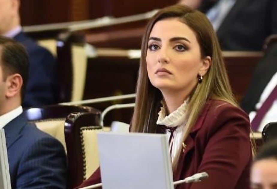 Azərbaycanlı deputat AŞPA Komitə iclasında gender əsaslı zorakılıqların aradan qaldırılmasına dair təkliflər irəli sürüb