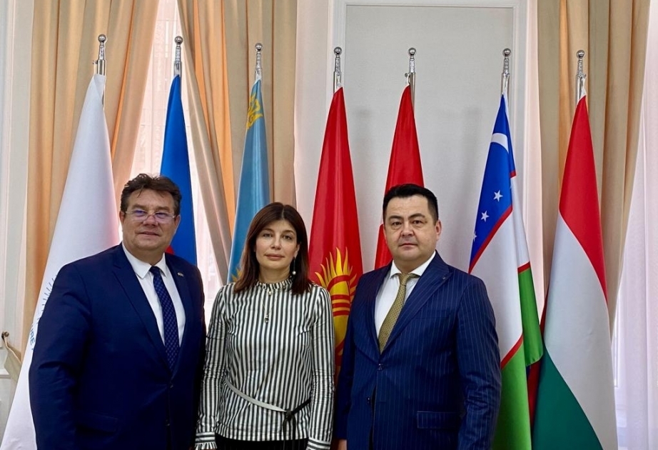 Gunay Afandiyeva meets with members of Romanian Parliament