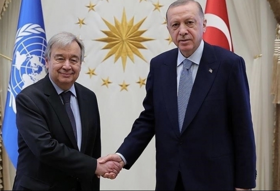 土耳其总统与联合国秘书长通电话