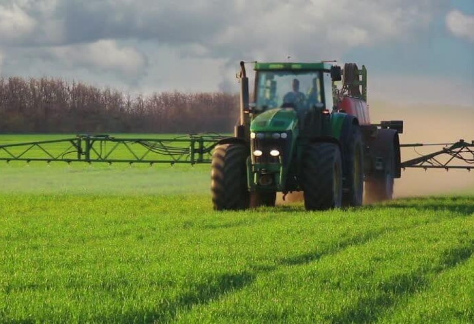 Дефицит с поставками белорусского калия приведет к росту цен на немецкую агропродукцию
