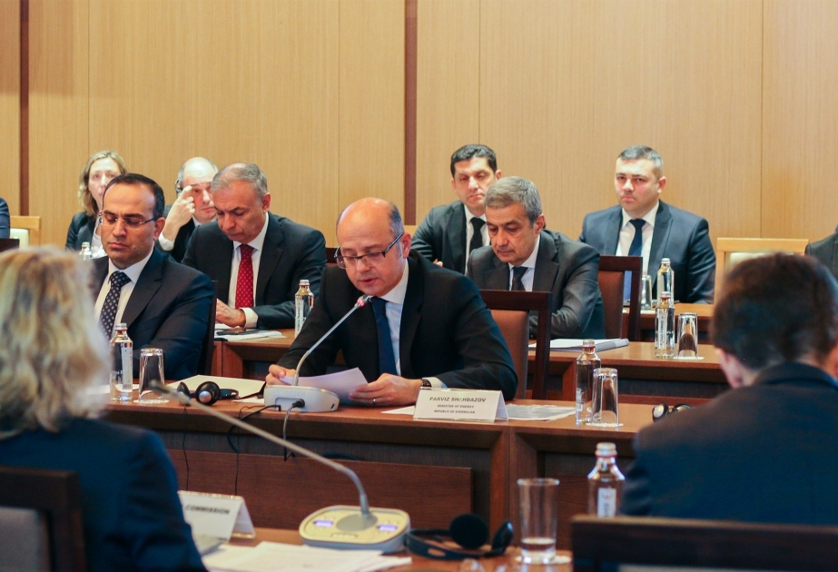 Azerbaijan's Energy Minister: "Gas supplies to Europe are expected to exceed 10 bcm by the end of the year"