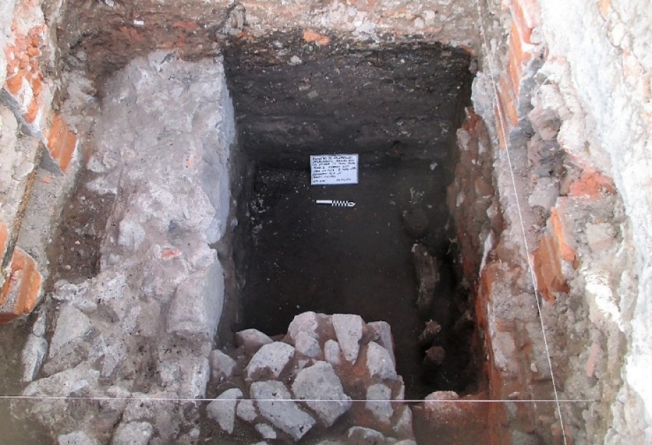 Remains of Aztec dwelling and floating gardens unearthed in Mexico City