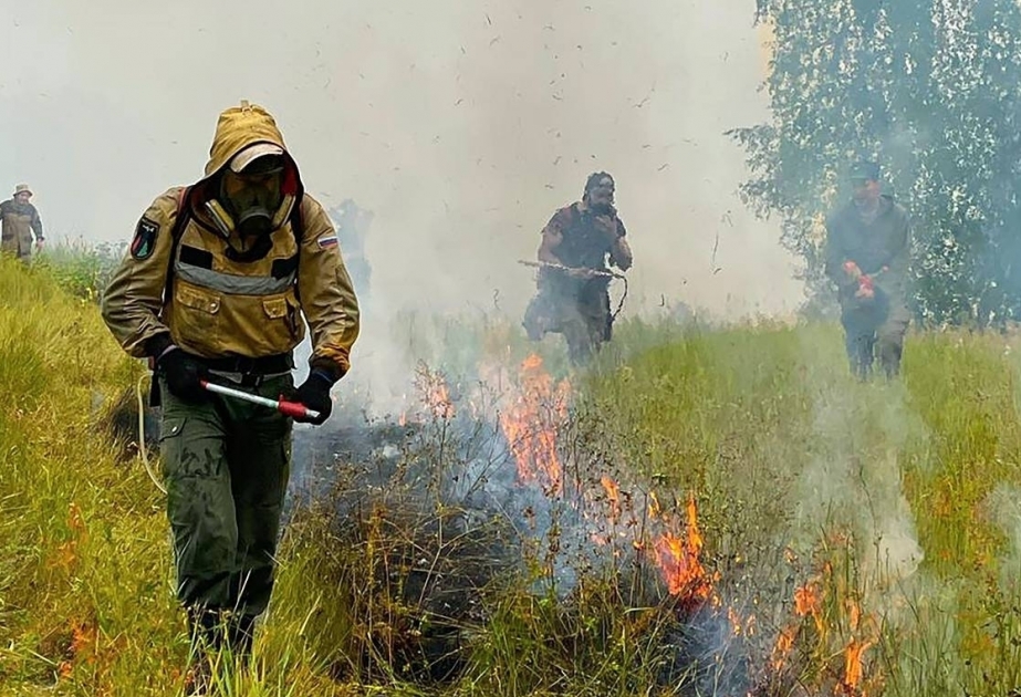 Five people killed by fires in Russia’s Krasnoyarsk region