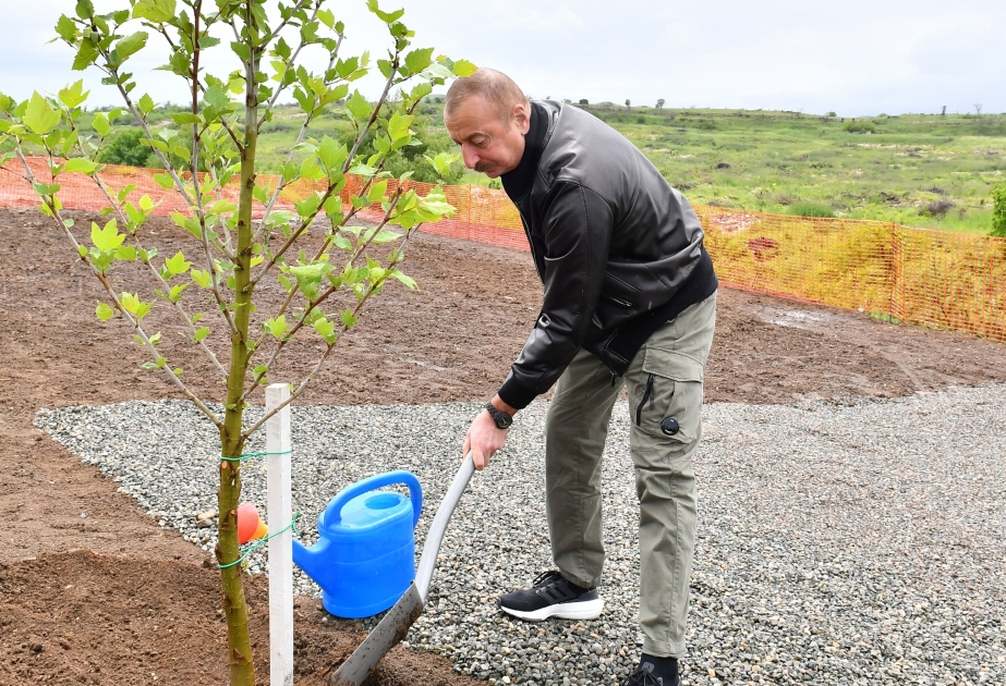 Le président Ilham Aliyev et la première dame Mehriban Aliyeva plantent des arbres dans le parc central à construire à Fuzouli VIDEO