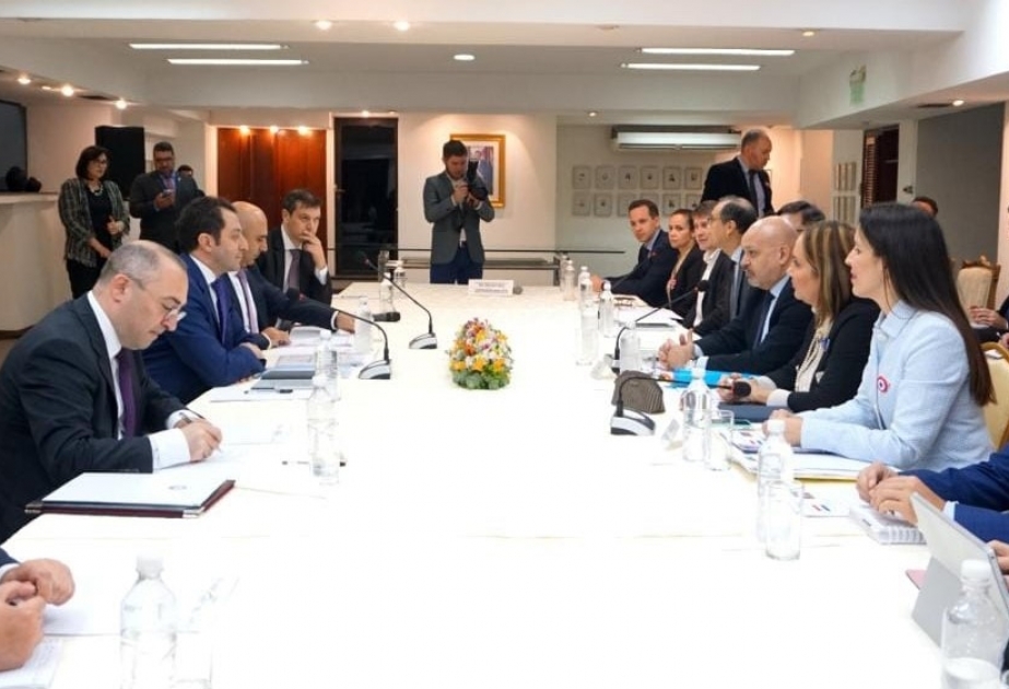 Azərbaycan və Paraqvayın Xarici İşlər nazirlikləri arasında ilk dəfə siyasi məsləhətləşmələr keçirilib