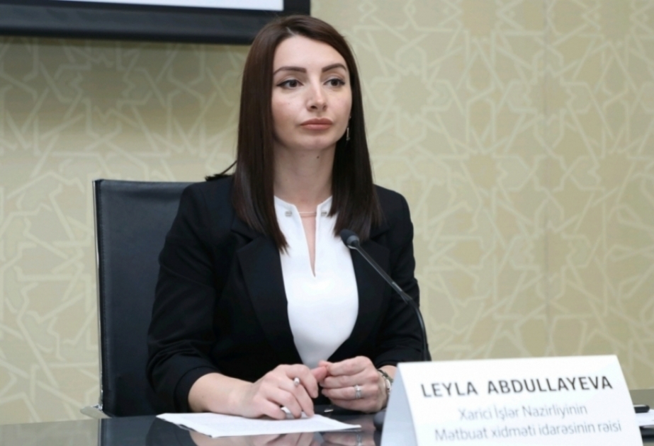 Leyla Abdullayeva: N.Paşinyanın əsassız iddiaları Ermənistanın sülh istəyini ciddi sual altına alır