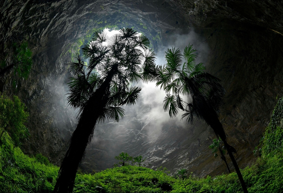 Giant sinkhole with a forest inside found in China
