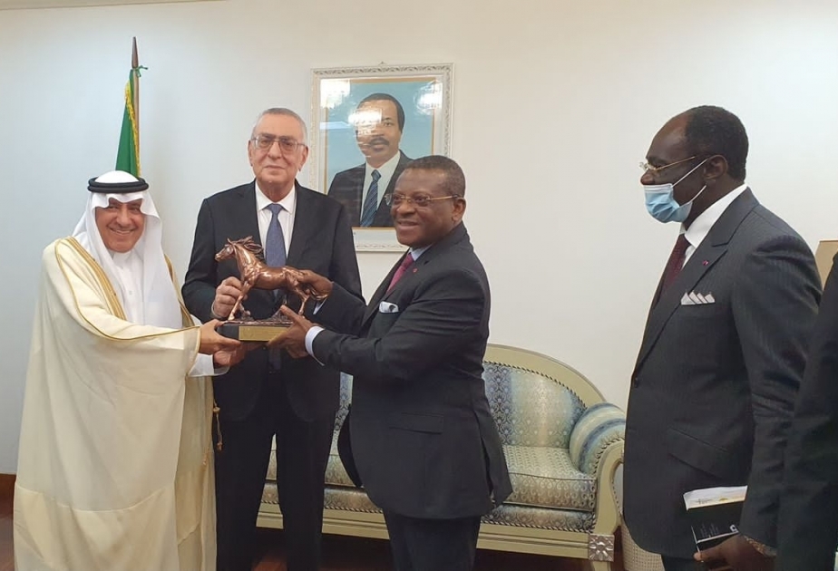 Azerbaijani NOC delegation’s visit to Cameroon continues