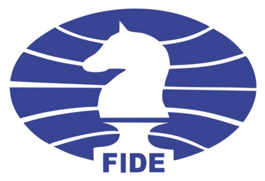 Дворкович рассказал о процессе подачи заявки на выборы президента FIDE