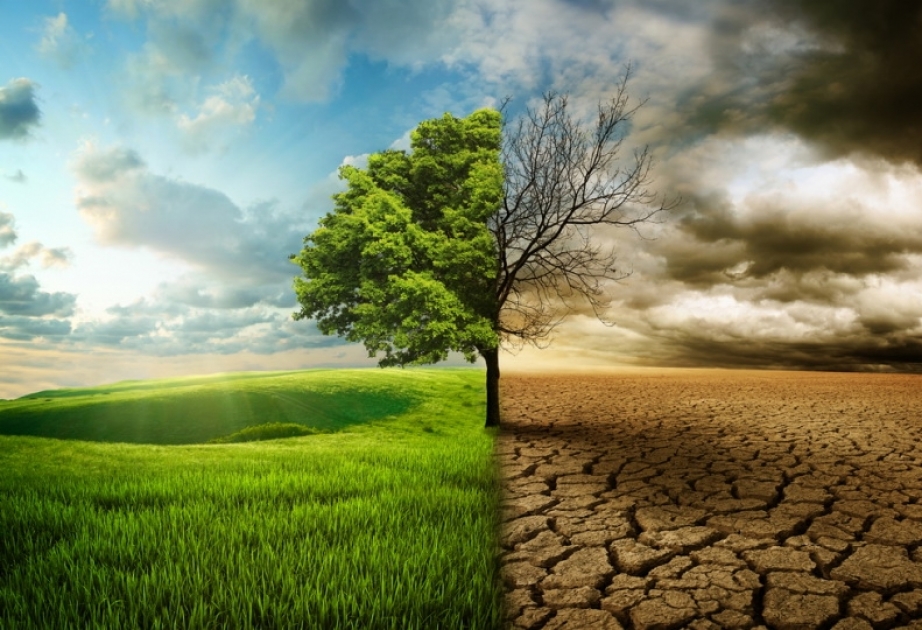 Qlobal temperaturun artımı 3 dərəcəni keçərsə, biomüxtəlifliyə aid növlərin təqribən 20-30 faizinin nəsli kəsilə bilər