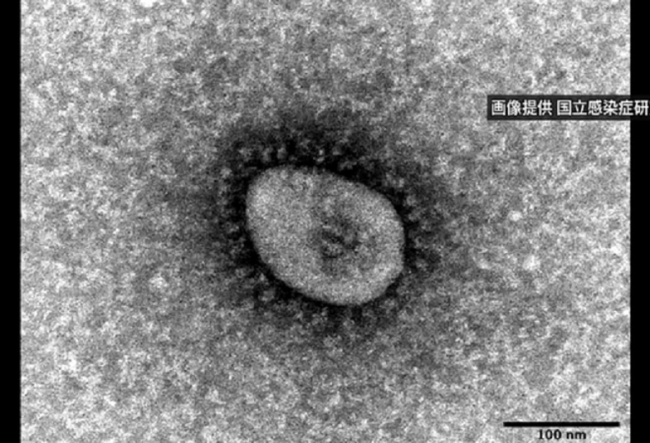 Japan reports 35,008 new cases of coronavirus, 25 deaths