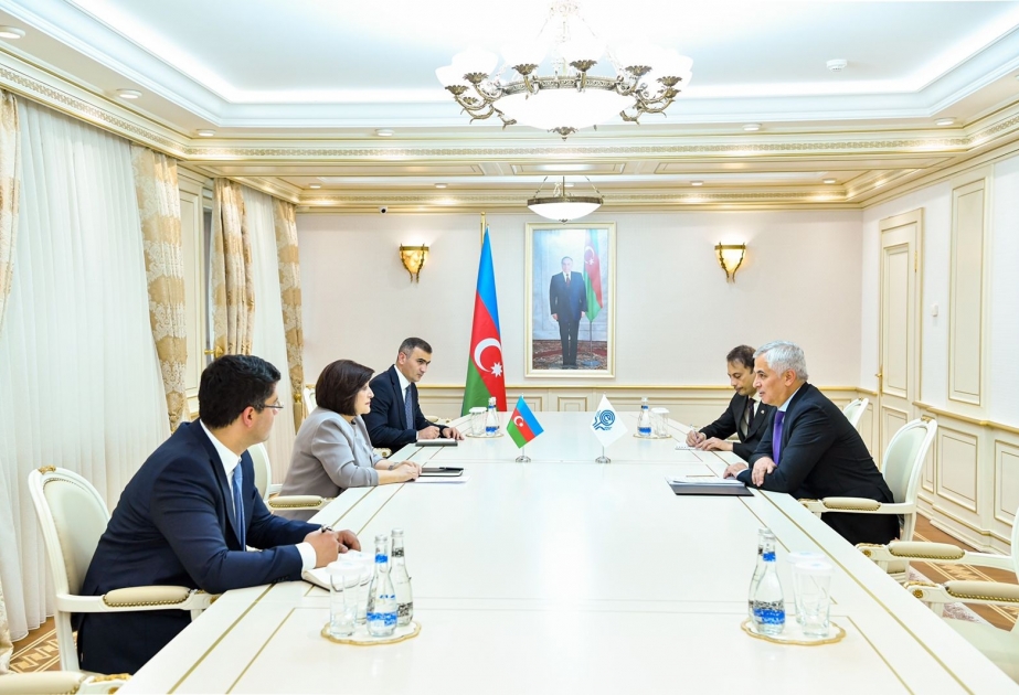 Milli Məclisin sədri Sahibə Qafarova İqtisadi Əməkdaşlıq Təşkilatının Baş katibi ilə görüşüb