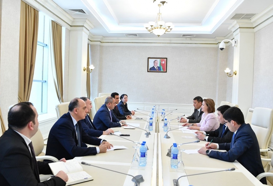 Состоялась встреча между вице-спикерами парламентов Азербайджана и Казахстана