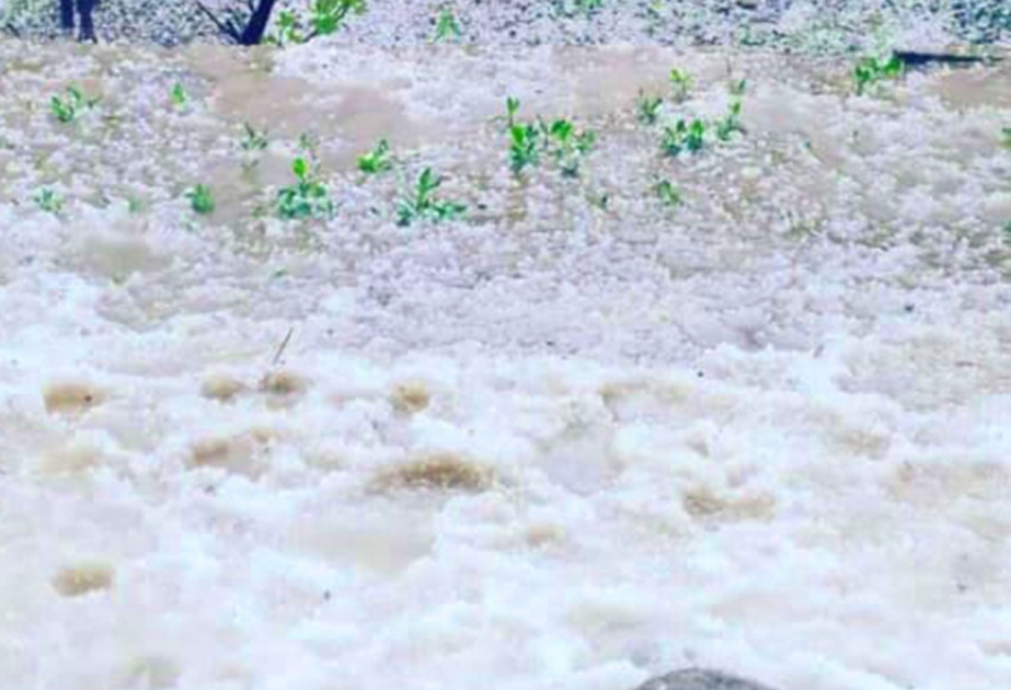 Şahbuz rayonunun kəndlərinə güclü dolu yağıb