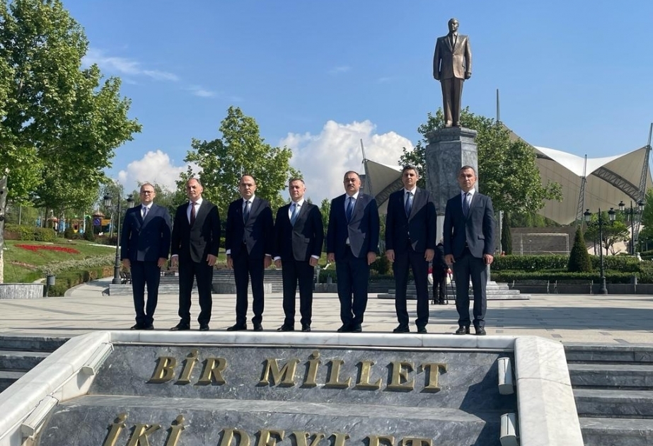 Azerbaijan’s Health Minister embarks on official visit to Turkiye