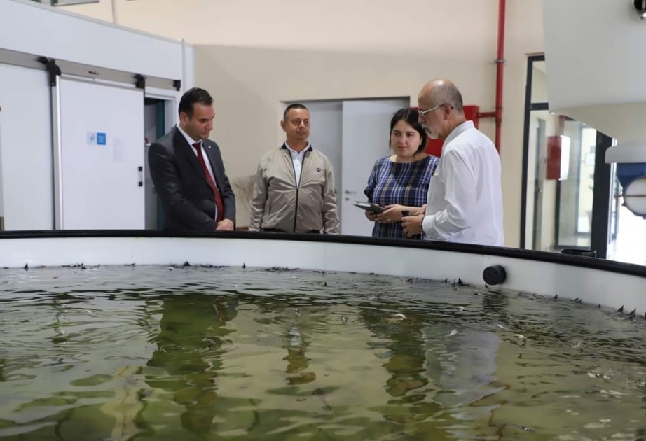 El embajador de México en Azerbaiyán visitó el distrito de Neftchala