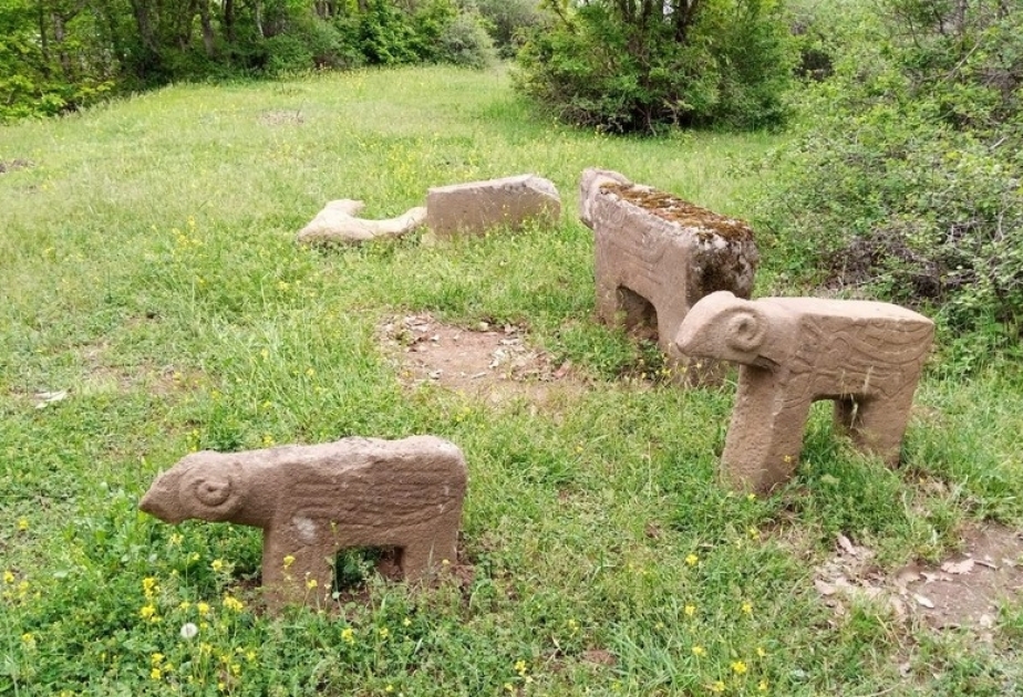 Впервые в Азербайджане обнаружена каменная фигура быка