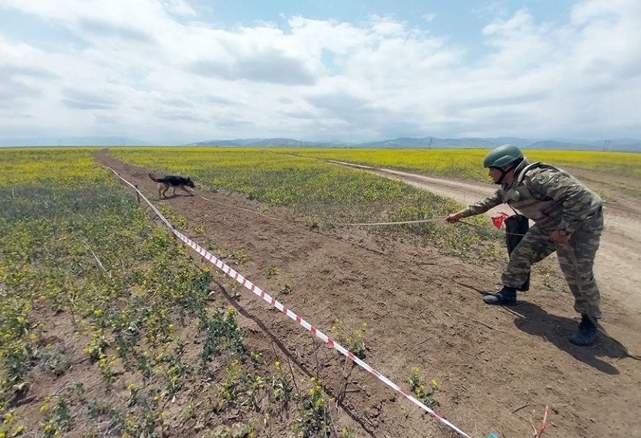 Ministerio de Defensa: “Continúan los trabajos de ingeniería en los territorios liberados de Azerbaiyán”
