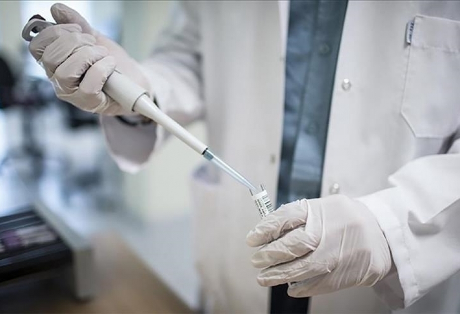 La OMS afirma que la viruela del mono está presente en 8 países de Europa