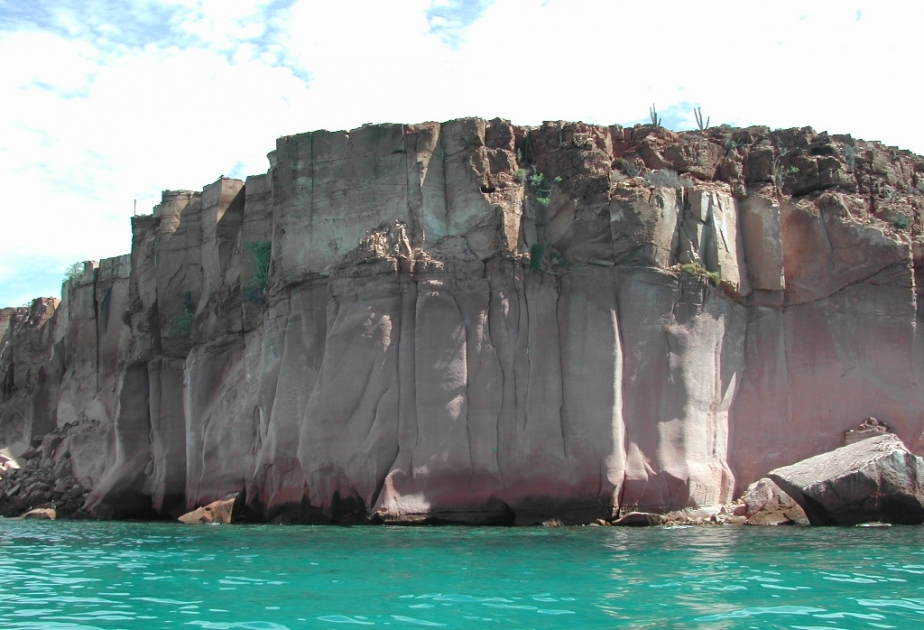 Las Islas y Áreas Protegidas del Golfo de California están en la Lista del Patrimonio Mundial en Peligro