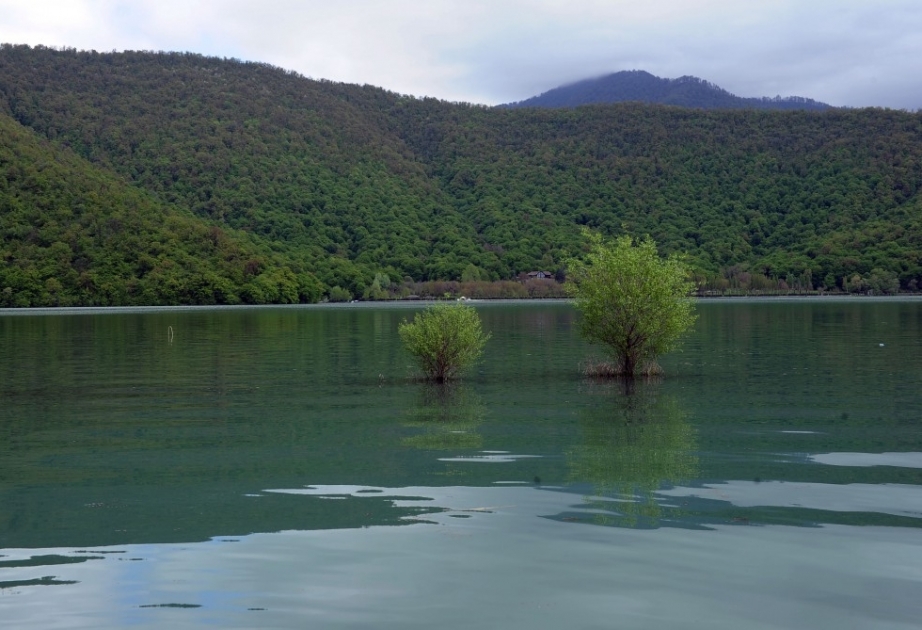 Gabala ist einer der von lokalen und ausländischen Touristen meist besuchten Orte in Aserbaidschan