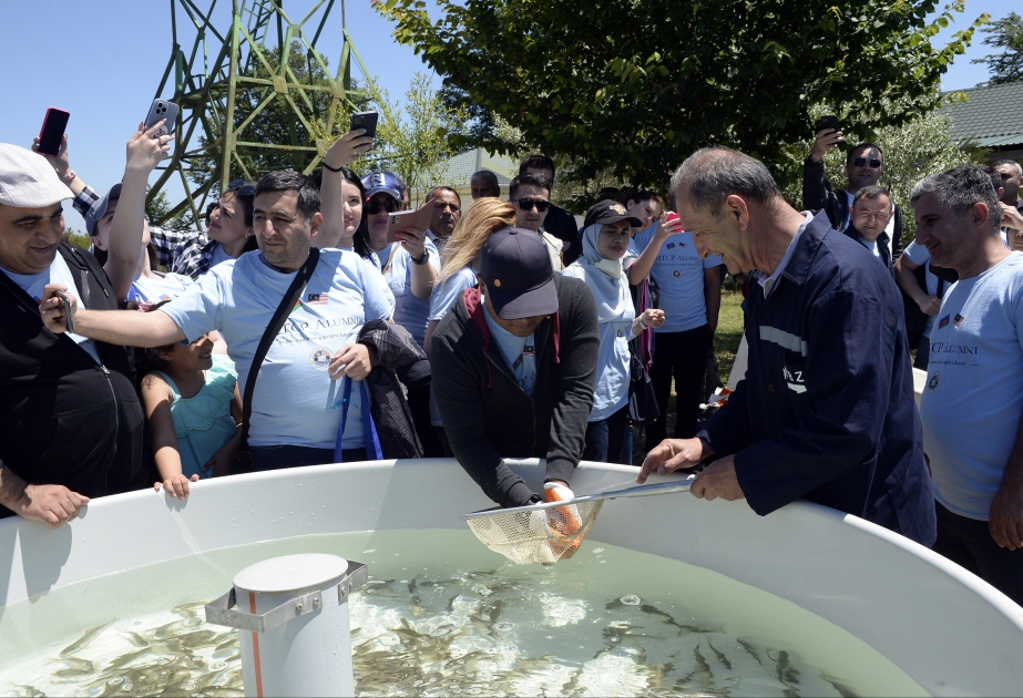 Yeddi yüzə yaxın balıq körpəsi Qızılağac Milli Parkının ərazisində suya buraxılıb