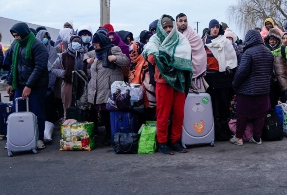 ACNUR registra cifra récord de desplazados en el mundo
