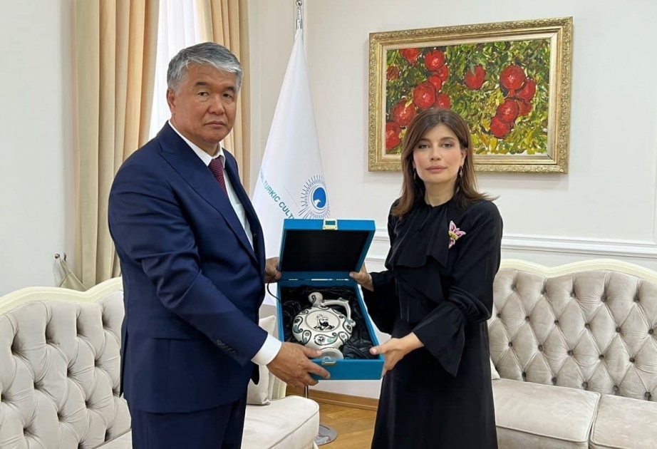 President of International Turkic Culture and Heritage Foundation meets with newly elected Secretary-General of TURKSOY Sultan Raev