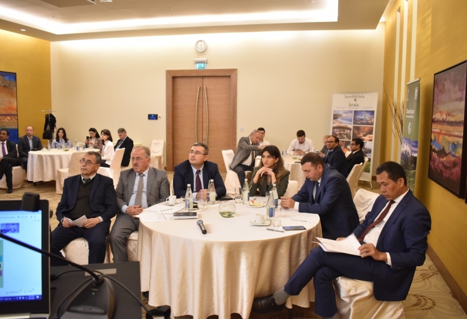 Indian Embassy in Baku hosts webinar on cut flowers, foliage, planting material, orchids, seeds, vegan, meat, rice and tea products