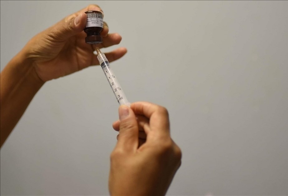 Funcionaria de la OMS asegura que no hay necesidad de vacunación masiva contra la viruela del mono