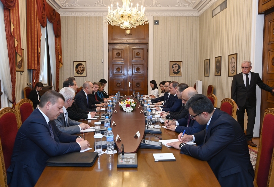 Se intercambiaron opiniones sobre las perspectivas de cooperación entre Azerbaiyán y Bulgaria