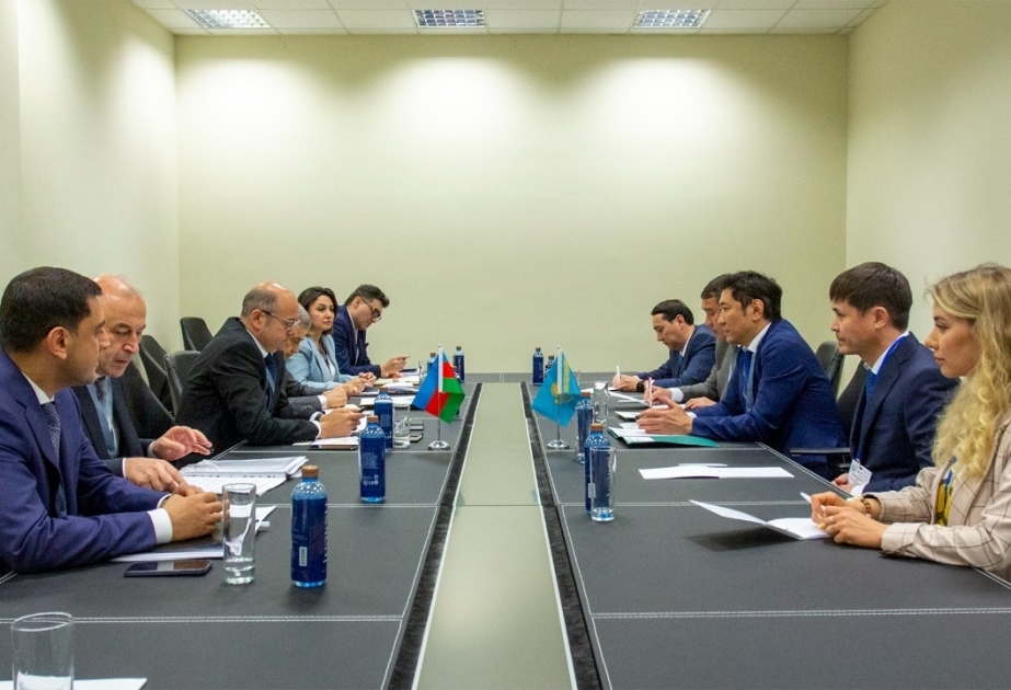 Azerbaijan discusses development of energy cooperation with Italy and Kazakhstan